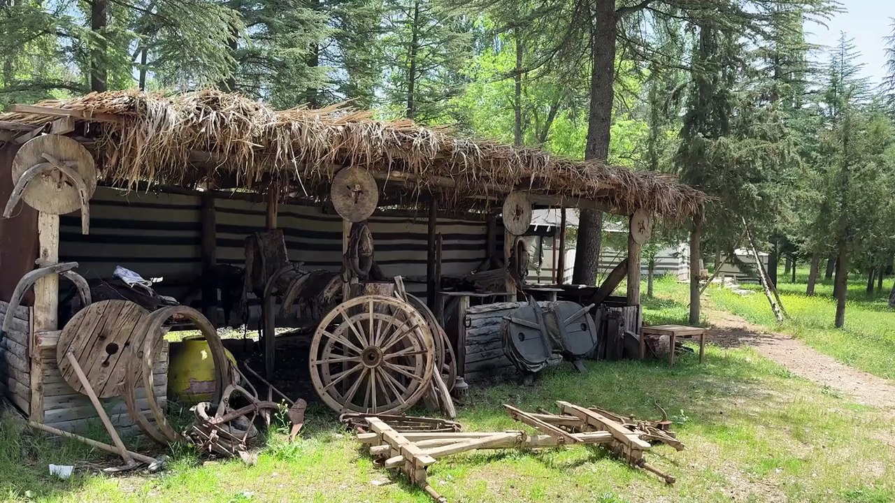 Samurai Culture: The Untold Story of Japan’s Legendary Warriors
