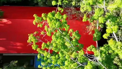 Cap. 99 - El Desafío Siglo XXI | HD 2025