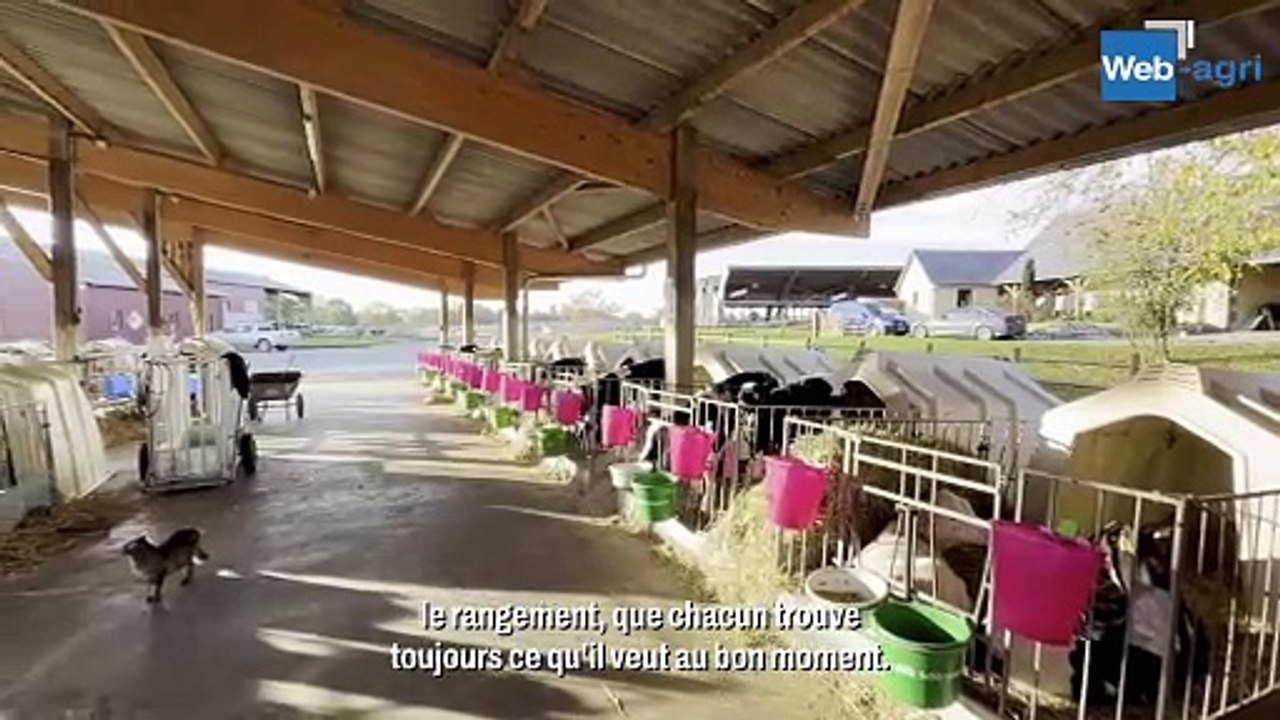 350 vaches et 12 salariés sur la Ferme des Rives d'Or
