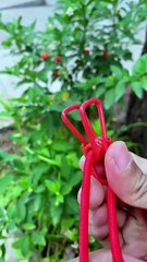 Clip&Hang 185CM Portable Clothesline With (12) Clip - Elastic, Windproof & Eco-Friendly for Travel & Home Use