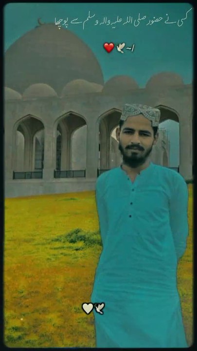 زندگی تنہا