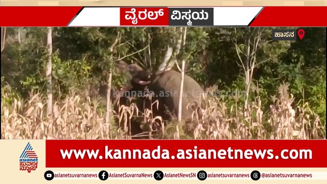 ಮದವೇರಿದ ಮದಕರಿಗಳ ಮಧ್ಯೆ ರೋಚಕ ಕಾಳಗ..! ಭೀಮ-ಕ್ಯಾಪ್ಟನ್ ಮಧ್ಯೆ ನಡೆಯಿತು ರಣಭೀಕರ ಯುದ್ಧ