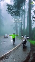 Misty mornings, hot chai, and the magic of Ooty in winter