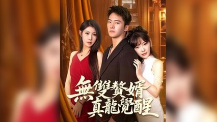 無雙贅婿：真龍覺醒