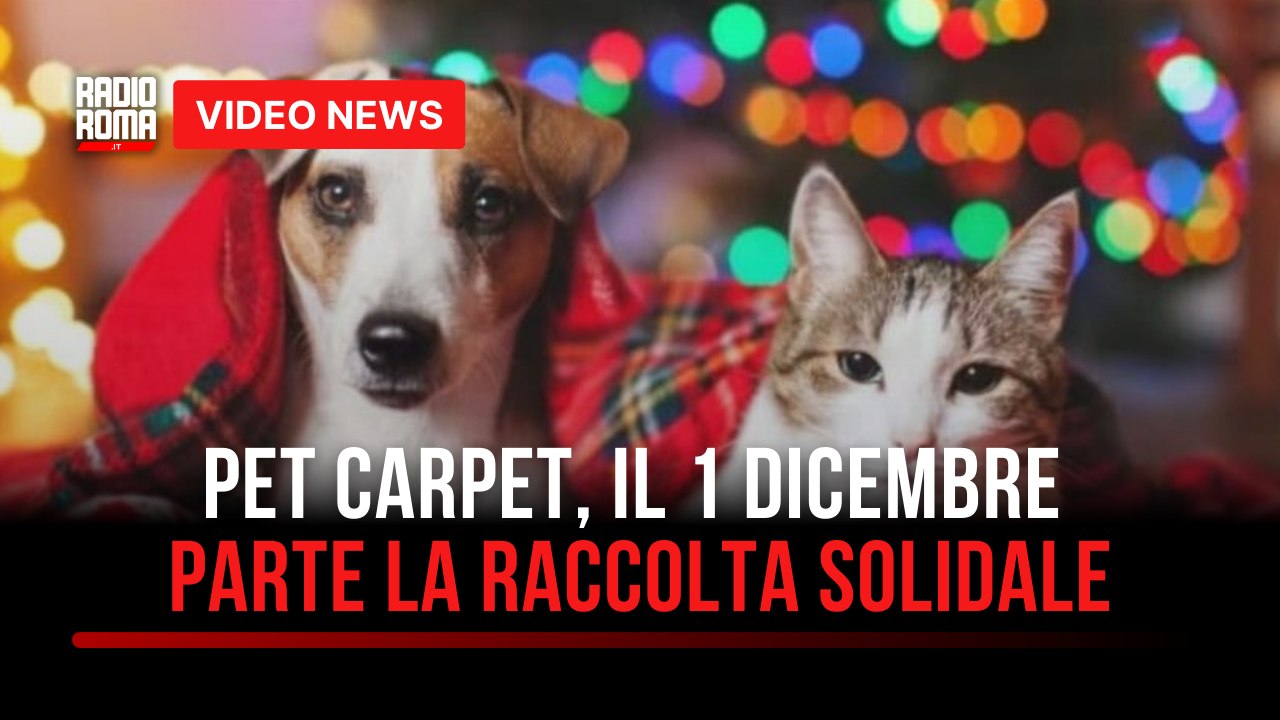 Pet Carpet, il 1 Dicembre parte la raccolta solidale