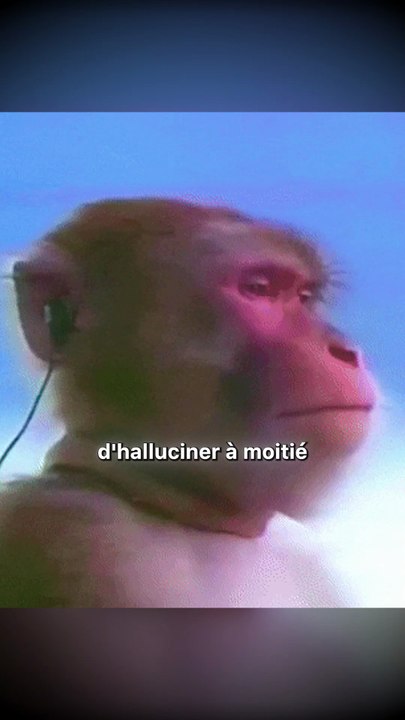 La technique qui vous endort en 60 secondes ! Si vous n’arrivez pas à dormir, faites juste ça...