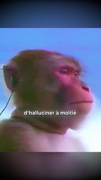 La technique qui vous endort en 60 secondes ! Si vous n’arrivez pas à dormir, faites juste ça...