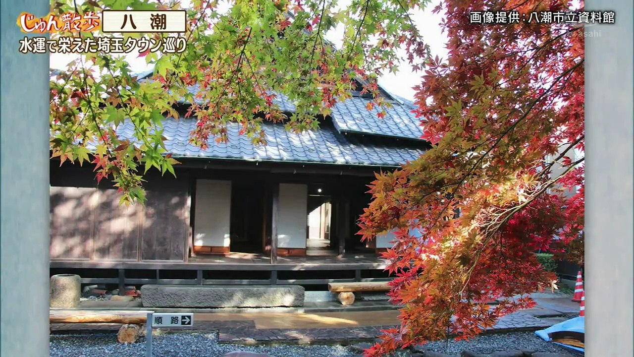 じゅん散歩  2025年日11月26日