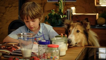 Lassie - Ein neues Abenteuer