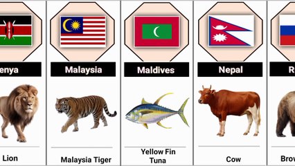 National Animals From Different Countries Part 1