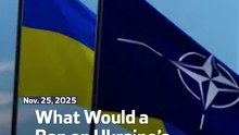 What Would a Ban on Ukraine’s NATO Bid Mean?