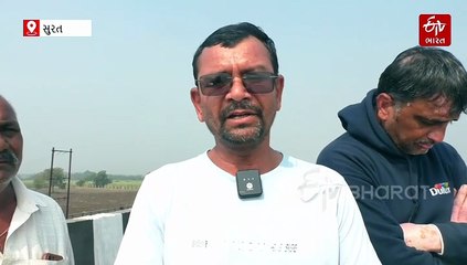 દિલ્હી-મુંબઈ એક્સપ્રેસ હાઈવેથી માંગરોળના સિયાલજ ગામના ખેડૂતોની હાલત કફોડી, સર્વિસ રોડના અભાવે શેરડીનું કટિંગ અટક્યું