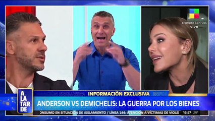 Cómo avanza el divorcio entre Evangelina Anderson y Martín Demichelis