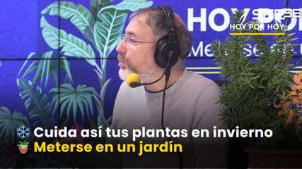 ❄️ ASÍ DEBES CUIDAR TUS PLANTAS para que SOBREVIVAN al INVIERNO | Meterse en un jardín