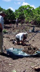 Amélia Earhart : l’avion aurait refait surface ?