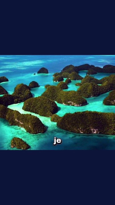 Ce lézard éternue du sel ! #iguane #lezard #animaux #nature #humour