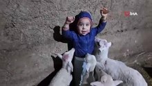 O Türkiye'nin en küçük çobanı: Sadece 3 yaşında...