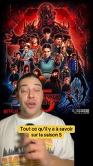 Tout ce qu’il y a à savoir sur la saison 5 de Stranger Things !!! Ça arrive dès le 27 novembre à 2h du matin heure française sur Netflix