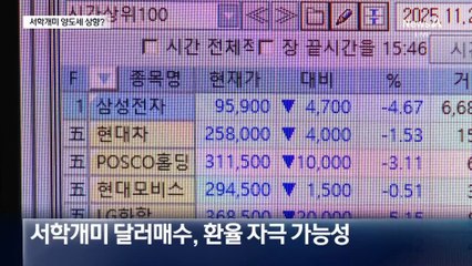 치솟는 환율에 “해외주식 양도세 강화 가능”…서학개미 반발