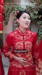 After Being Dumped, The Beautiful CEO Proposed To Me