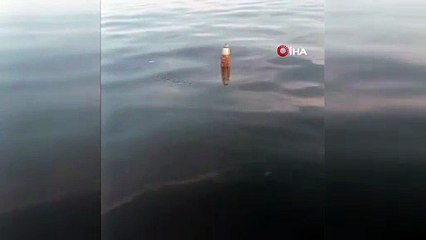 Karadeniz açıklarında gizemli cisim paniği! Balıkçı karı koca buldu...