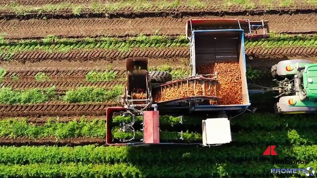 Grins: nuovi strumenti digitali per la sostenibilità delle imprese italiane