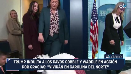 Trump indulta a los pavos Gobble y Waddle en Acción por Gracias: "Vivirán en Carolina del Norte"