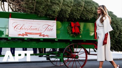 White House Christmas: Melania Trump Receives 18.5-Foot Tree Delivered by Clydesdales Logan & Ben