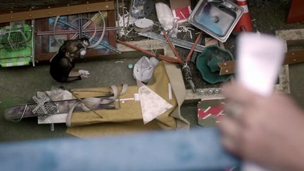 Two codependent roommates, on the verge of eviction, flee New York for the promise of sunshine in Los Angeles where their friendship is tested by a chance at fame HD ( Comedy, Drama )