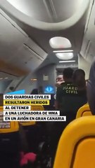 Dos guardias civiles, heridos al reducir a la luchadora de MMA Sinead Kavanagh en un avión
