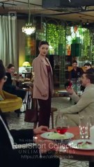 The Woman Starts The War