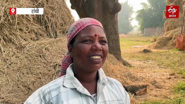 सरकारी सिस्टम से पहले गांव-गांव पहुंचे बिचौलिए! किसान औने-पौने दाम पर धान बेचने को मजबूर