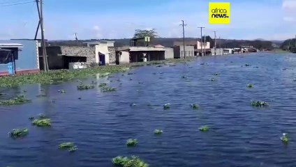 Rising lake waters cause misery for people forced to live in flooded homes in Kenya