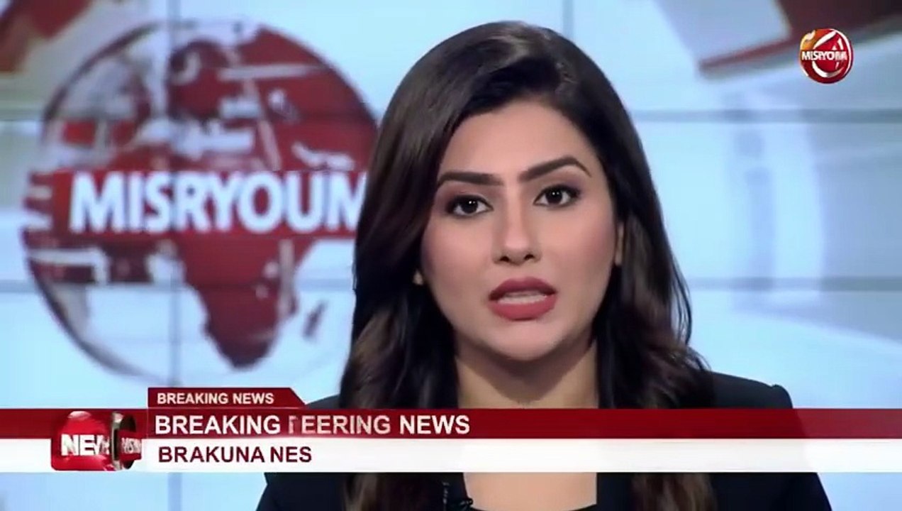 وزير الخارجية: استقرار لبنان أولوية في سياسة مصر ودعمنا مستمر لمؤسساته الوطنية