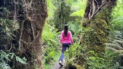 CARRETERA AUSTRAL 2 Hornopiren Puyuhuapi