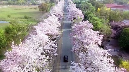 Marry My Husband (Janpan Ver) EP.9 Hindi Dubbed