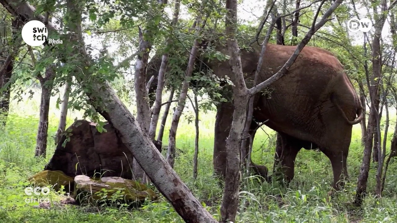 EcoAfrica - Driving change by exposing environmental problems