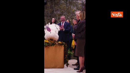 La carezza di Trump al tacchino Waddle durante la cerimonia di grazia alla Casa Bianca