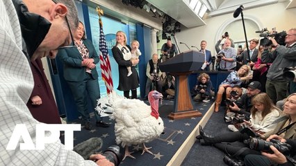 WATCH: Waddle the Turkey Meets Reporters Ahead of Trump’s Thanksgiving Pardon | APT