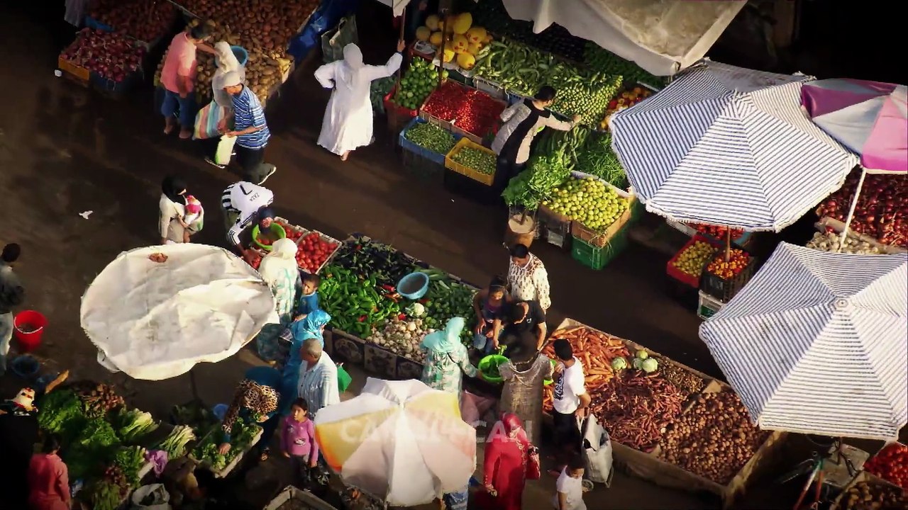 VITRINE-DISPOSITIF-CANAL+CAN