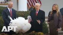 WATCH: Trump’s Reaction Says It All as He Jokes Gobble ‘Looks Violent’ During Turkey Pardon | APT