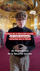 Budget de la Sécurité sociale : une copie largement remaniée par le Sénat