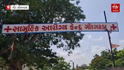 ગીર સોમનાથ: ગીર ગઢડા તાલુકાના પીછવી ગામે સિંહનો ત્રાસ, બે વર્ષની બાળકીનો કરૂણ અંત