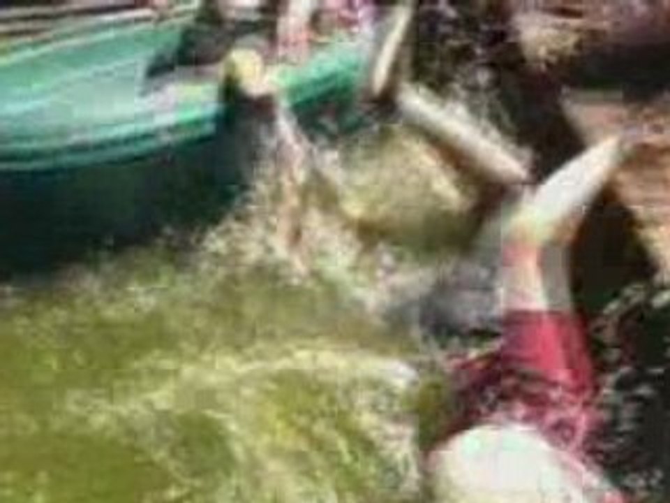 Baloo aime l'eau