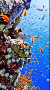 5 weird animal facts that'll leave you amazed #facts #animals #shorts #amazingfacts #viral