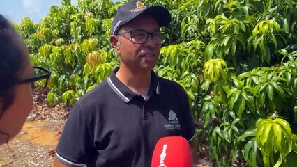 Impacto da tarifação para pequenos produtores