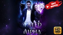 Fated to the Alpha - A Second Chance | Full movie HD - Drama ShortFilms Hot