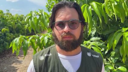 Técnico do Senar explica relevância do acompanhamento técnico dado pelo sistema ao setor