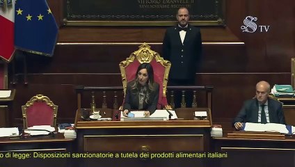 Bergesio - Intervento in Senato (26.11.25)