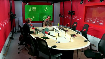 L'archéologie d'urgence face à l'usure du monde en Alaska - La terre au carré